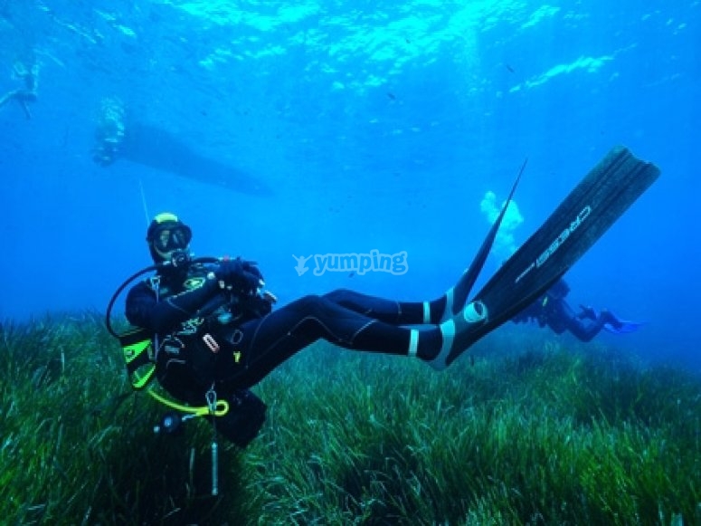 Mister Jump, prezzi e prenotazioni 2024