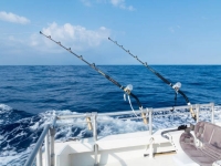 Voyage de pêche touristique 