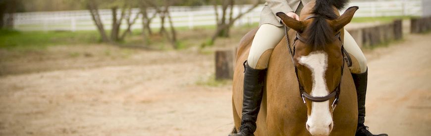 Offerte di Passeggiate a Cavallo Vercelli