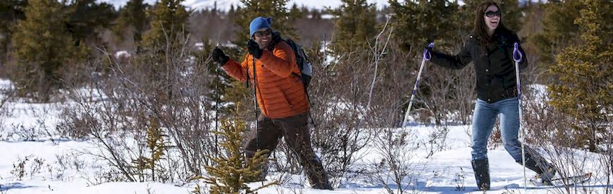 Offres de Raquettes à Neige Trévise