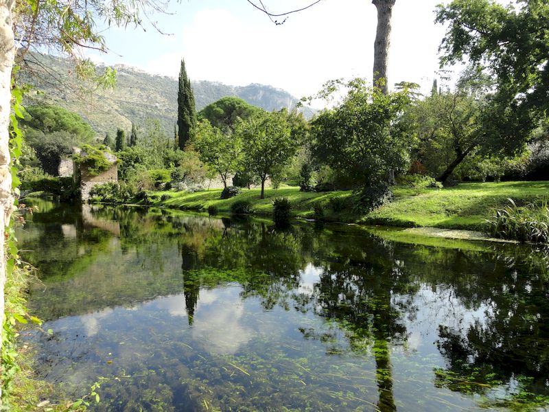La natura come non l’avevi mai vista La natura come non l’avevi mai vista