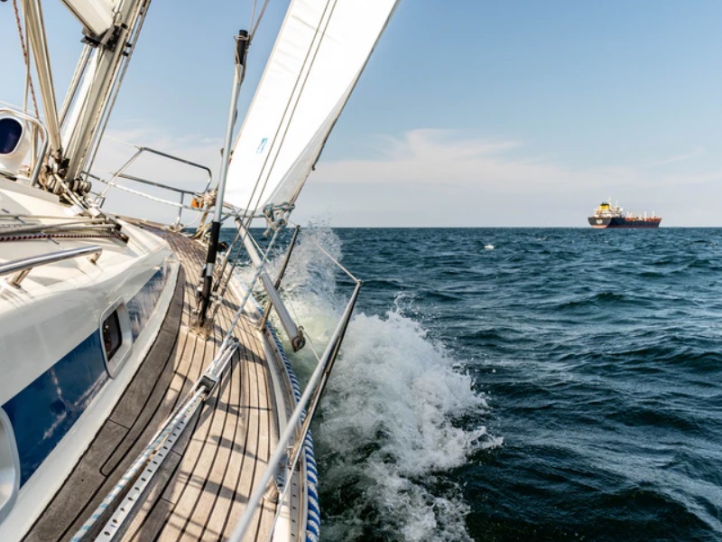 Ocean fanatics Fun is 100% guaranteed