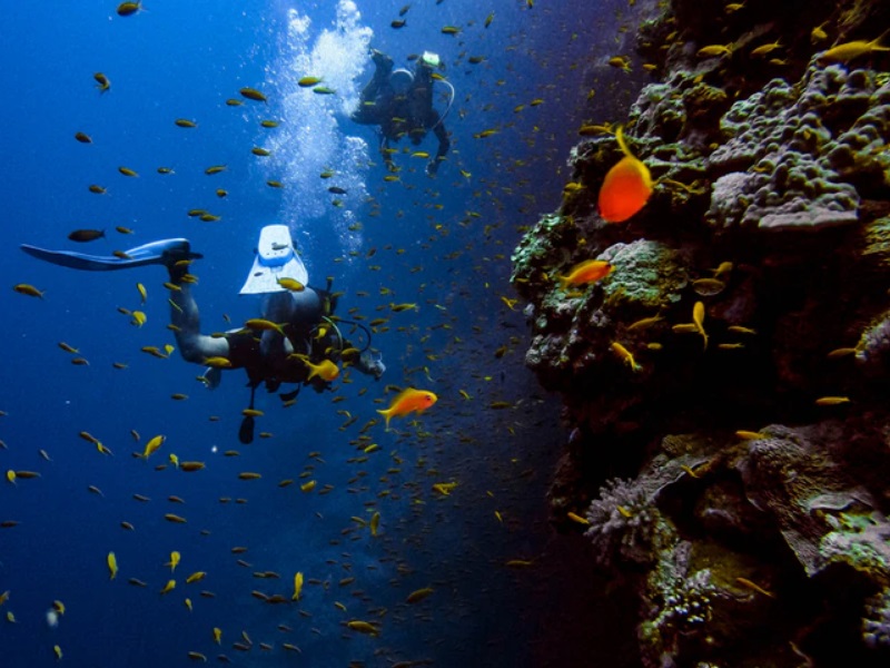 Conoscere gli elementi della nostra terra Ottimo momento per imparare uno sport nuovo